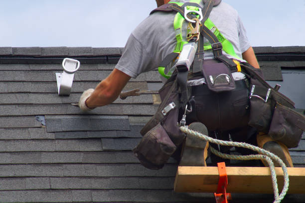 Professional Roofing Contractor in Lapeer, MI