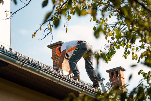 Best Residential Roofing Contractor  in Lapeer, MI