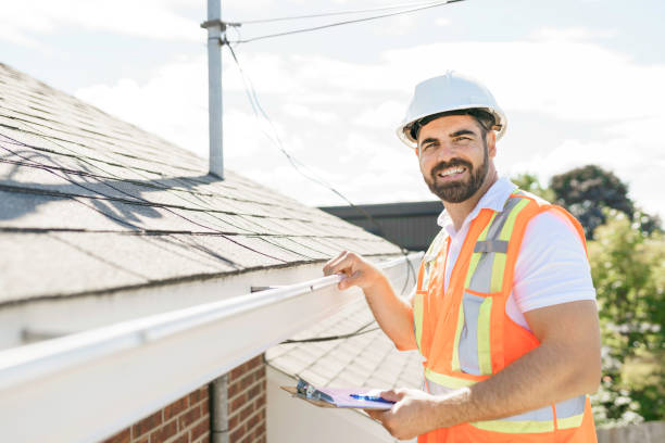 Best Sealant for Roof  in Lapeer, MI