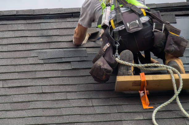 Quick and Trustworthy Emergency Roof Repair Services in Lapeer, MI