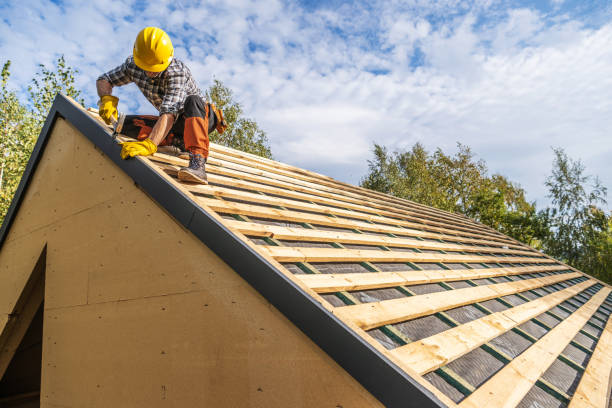 Best Roof Maintenance Services  in Lapeer, MI