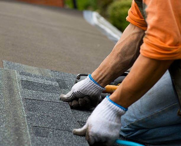 Best Roof Gutter Cleaning  in Lapeer, MI