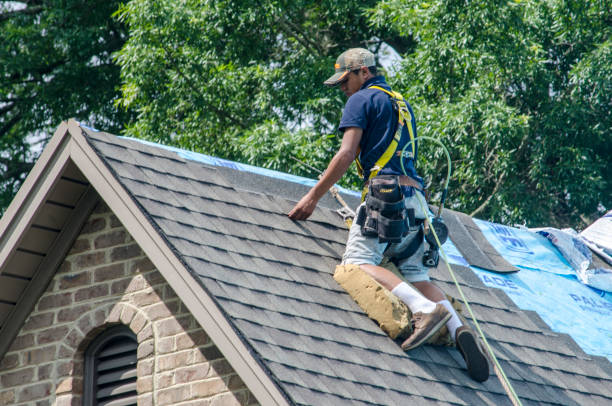 Best New Roof Installation  in Lapeer, MI